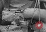 Standbild Flüchtlinge evakuiert Vietnam, 1967, aus Sekunde 38 historischem Filmmaterial Videoclip 65675072479