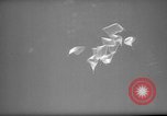 Standbild freien chinesischen Truppen Quemoy China, 1967, aus Sekunde 50 historischem Filmmaterial Videoclip 65675072480