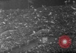 Standbild Fussballspiel Nürnberg Deutschland, 1967, aus Sekunde 41 historischem Filmmaterial Videoclip 65675072482