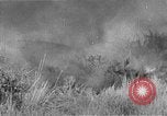 Image of French Armor and Artillery Algeria, 1954, second 47 stock footage video 65675072494