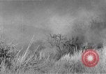 Image of French Armor and Artillery Algeria, 1954, second 48 stock footage video 65675072494
