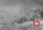 Image of French Armor and Artillery Algeria, 1954, second 49 stock footage video 65675072494