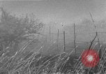 Image of French Armor and Artillery Algeria, 1954, second 53 stock footage video 65675072494