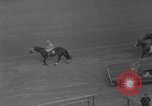 Image Metropolitan Handicap New York United States USA, 1967, de la seconde 7 séquences d'archives historiques vidéo 65675072507