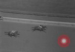 Image Metropolitan Handicap New York United States USA, 1967, de la seconde 47 séquences d'archives historiques vidéo 65675072507