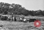 Immagine di Il presidente Franklin Roosevelt alla guida della sua mano-auto controllata Hyde Park New York USA, 1936, secondo 18 filmato di repertorio 65675072517
