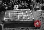 Immagine di La torta più grande Talent Oregon USA, 1936, secondo 11 filmato di repertorio 65675072521