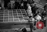Immagine di La torta più grande Talent Oregon USA, 1936, secondo 20 filmato di repertorio 65675072521