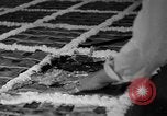 Immagine di La torta più grande Talent Oregon USA, 1936, secondo 23 filmato di repertorio 65675072521