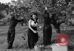 Standbild Junge Frauen Landwirte New Hebron Mississippi USA, 1936, aus Sekunde 12 historischem Filmmaterial Videoclip 65675072526