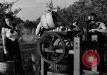Standbild Junge Frauen Landwirte New Hebron Mississippi USA, 1936, aus Sekunde 17 historischem Filmmaterial Videoclip 65675072526
