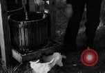 Standbild Junge Frauen Landwirte New Hebron Mississippi USA, 1936, aus Sekunde 25 historischem Filmmaterial Videoclip 65675072526