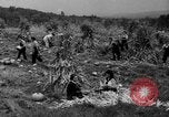 Standbild Junge Frauen Landwirte New Hebron Mississippi USA, 1936, aus Sekunde 34 historischem Filmmaterial Videoclip 65675072526