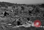 Standbild Junge Frauen Landwirte New Hebron Mississippi USA, 1936, aus Sekunde 35 historischem Filmmaterial Videoclip 65675072526