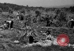 Standbild Junge Frauen Landwirte New Hebron Mississippi USA, 1936, aus Sekunde 36 historischem Filmmaterial Videoclip 65675072526