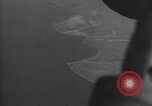 Image of Allied invasion Sicily Italy, 1943, second 18 stock footage video 65675072532