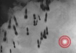Image of Allied invasion Sicily Italy, 1943, second 34 stock footage video 65675072532