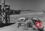 Image of Allied invasion European Theater, 1943, second 17 stock footage video 65675072534