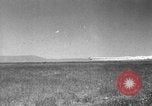 Image of Allied invasion Sicily Italy, 1943, second 8 stock footage video 65675072535