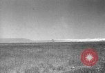 Image of Allied invasion Sicily Italy, 1943, second 9 stock footage video 65675072535