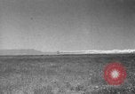 Image of Allied invasion Sicily Italy, 1943, second 10 stock footage video 65675072535