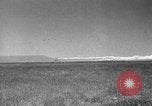 Image of Allied invasion Sicily Italy, 1943, second 11 stock footage video 65675072535