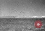 Image of Allied invasion Sicily Italy, 1943, second 12 stock footage video 65675072535