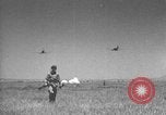 Image of Allied invasion Sicily Italy, 1943, second 11 stock footage video 65675072536