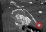Image of Allied invasion Sicily Italy, 1943, second 25 stock footage video 65675072536