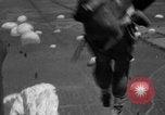 Image of Allied invasion Sicily Italy, 1943, second 28 stock footage video 65675072536