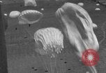 Image of Allied invasion Sicily Italy, 1943, second 30 stock footage video 65675072536