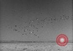 Image of Allied invasion Sicily Italy, 1943, second 32 stock footage video 65675072536