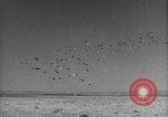 Image of Allied invasion Sicily Italy, 1943, second 33 stock footage video 65675072536