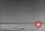 Image of Allied invasion Sicily Italy, 1943, second 38 stock footage video 65675072536