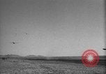 Image of Allied invasion Sicily Italy, 1943, second 25 stock footage video 65675072537