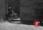 Image of Allied invasion Sicily Italy, 1943, second 51 stock footage video 65675072537
