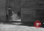 Image of Allied invasion Sicily Italy, 1943, second 52 stock footage video 65675072537