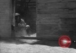 Image of Allied invasion Sicily Italy, 1943, second 53 stock footage video 65675072537