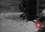 Image of Allied invasion Sicily Italy, 1943, second 55 stock footage video 65675072537