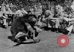 Immagine di Stati Uniti truppe India, 1943, secondo 13 filmato di repertorio 65675072542