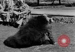 Immagine di Stati Uniti truppe India, 1943, secondo 19 filmato di repertorio 65675072542