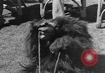 Immagine di Stati Uniti truppe India, 1943, secondo 29 filmato di repertorio 65675072542