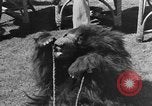 Immagine di Stati Uniti truppe India, 1943, secondo 30 filmato di repertorio 65675072542