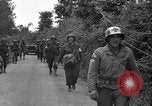 Standbild US4th Armored Division in Operation Cobra in Zweiten Weltkrieg Periers Frankreich, 1944, aus Sekunde 36 historischem Filmmaterial Videoclip 65675072546