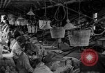 Standbild schneiden Glas machen United States USA, 1919, aus Sekunde 40 historischem Filmmaterial Videoclip 65675072549