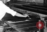 Standbild chicken anheben United States USA, 1919, aus Sekunde 6 historischem Filmmaterial Videoclip 65675072551
