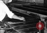 Standbild chicken anheben United States USA, 1919, aus Sekunde 7 historischem Filmmaterial Videoclip 65675072551