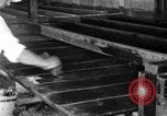Standbild chicken anheben United States USA, 1919, aus Sekunde 8 historischem Filmmaterial Videoclip 65675072551