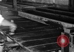 Standbild chicken anheben United States USA, 1919, aus Sekunde 9 historischem Filmmaterial Videoclip 65675072551