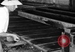 Standbild chicken anheben United States USA, 1919, aus Sekunde 14 historischem Filmmaterial Videoclip 65675072551